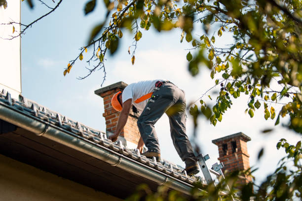 Best Sheet Metal Roofing  in Nutter Fort, WV